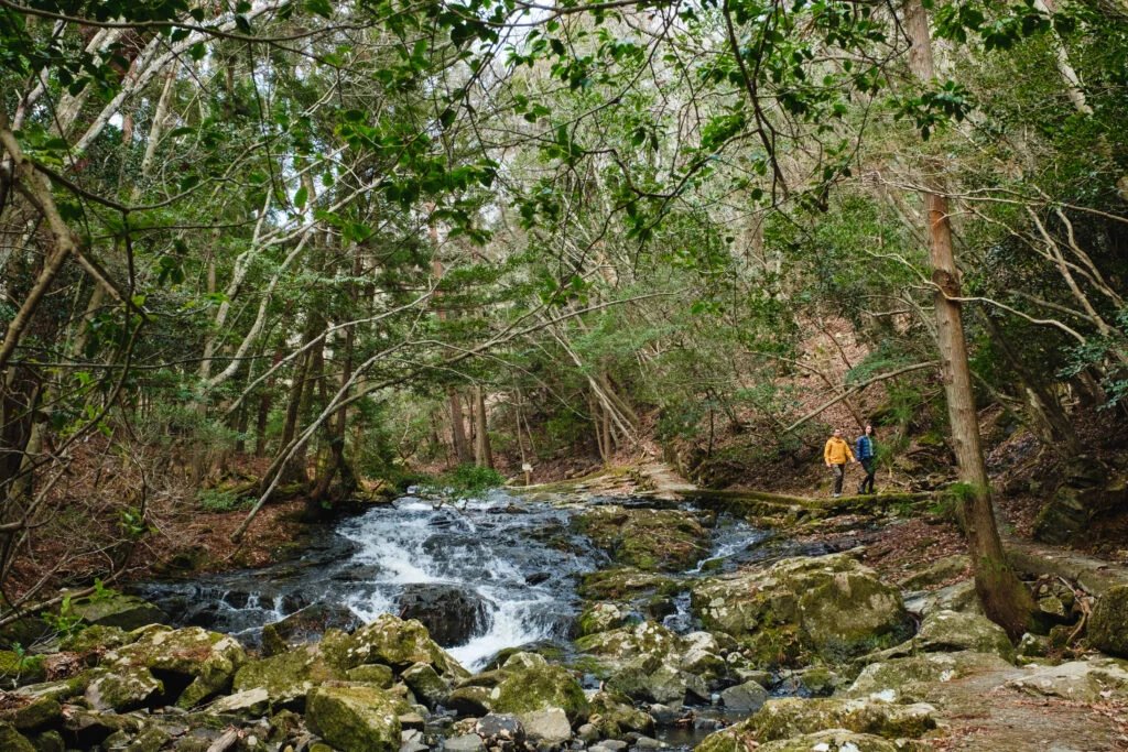 🏞️ 루리케이 계곡 이미지 5